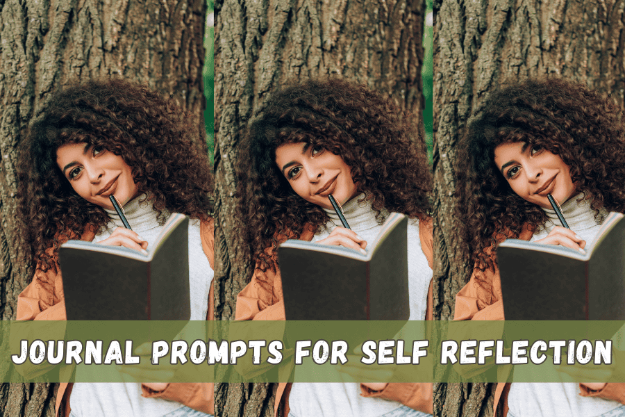 journal prompts for self reflection header image.jpg